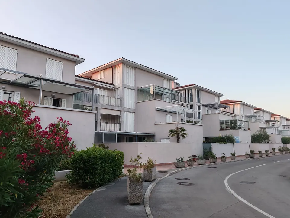 mold removal La Habra Heights