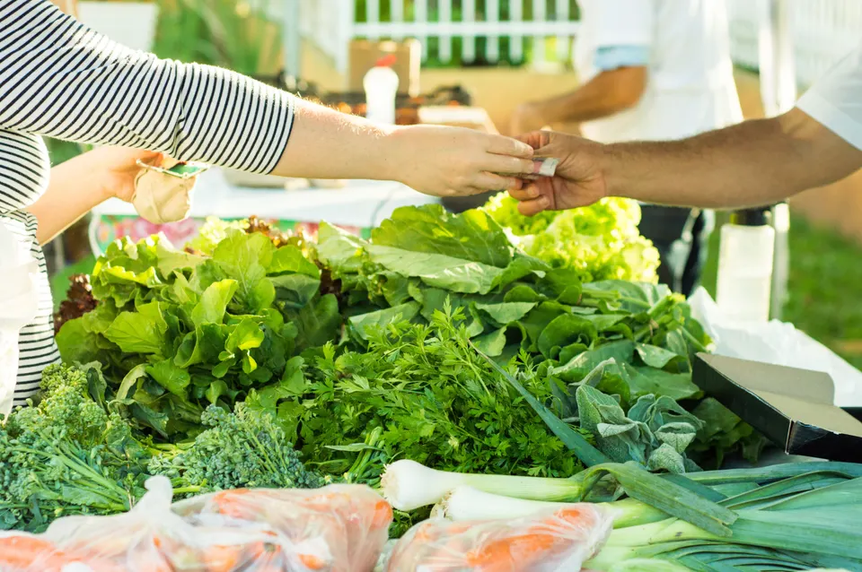 Serving Neighborhoods Near Top Orange Attractions in Orange